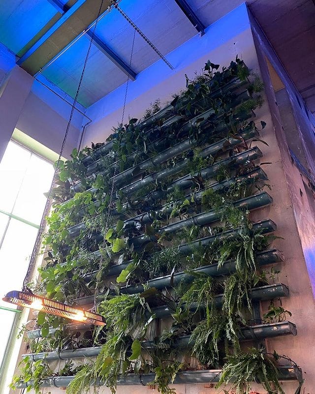 Halle 9. neu, Location, Event-Location, Kassel Halle 9 - Die Pflanzenwand über der Bar sorgt für eine ganz besondere Atmosphäre