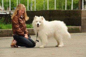 Agila-Bild: Hunde-Nanny Maike mit Feriengast Stuppsi