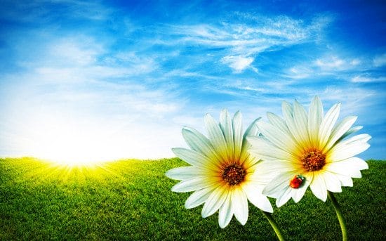 unite_plakat_background