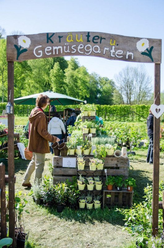 Marktstand mit Kräutern und Gemüsepflanzen unter Holzschild im Freien