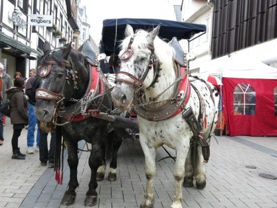 Mit der Kutsche durch Lippstadt