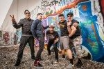 Zebrahead