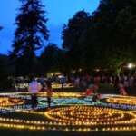Bad Wildunger Kurpark im Glanz der 15.000 Lichter
