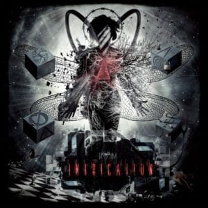 TK Kim - Intrication