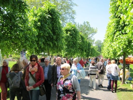 Pflanzenbörse im Botanischen Garten