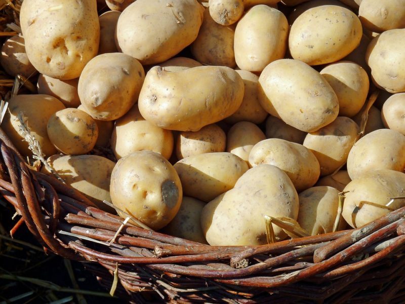 Tolle Knolle! Kartoffelfest in Bad Wildungen Von Süßkartoffel bis Pommes: Kartoffelfest in Bad Wildungen (Foto: Pixabay)