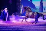 CAVALLUNA Welt der Fantasie Pressebilder 023