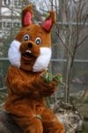 Osterhase im Tierpark Sababurg