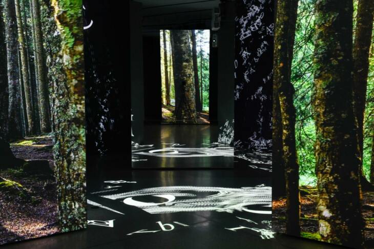 Die Erlebnisausstellung FinsterWald in der GrimmWelt Kassel. Foto von Nils Klinger