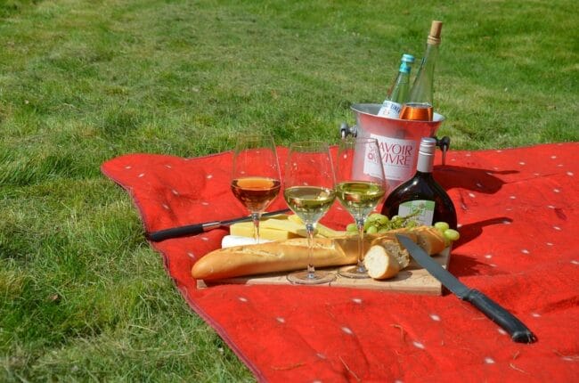 Picknick im Park