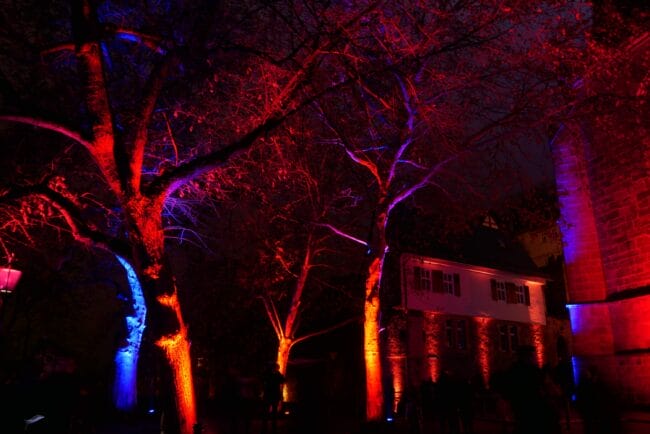 P1090217© Stadtmarketing Marburg