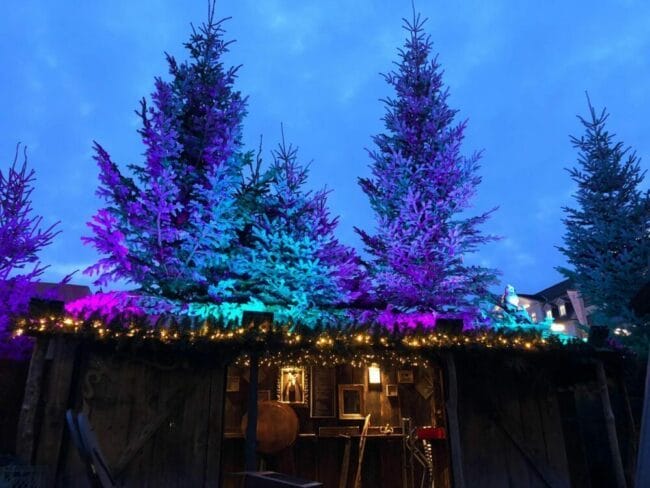 Märchenweihnachtsmarkt: Im Winterwald auf dem Friedrichsplatz