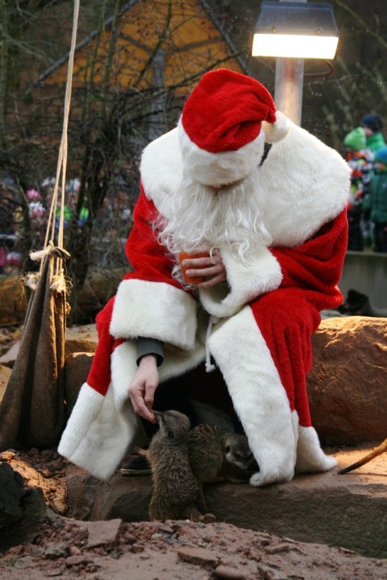 Der Weihnachtsmann kommt in den Tierpark Sababurg - und bringt auch etwas für die Tiere mit!