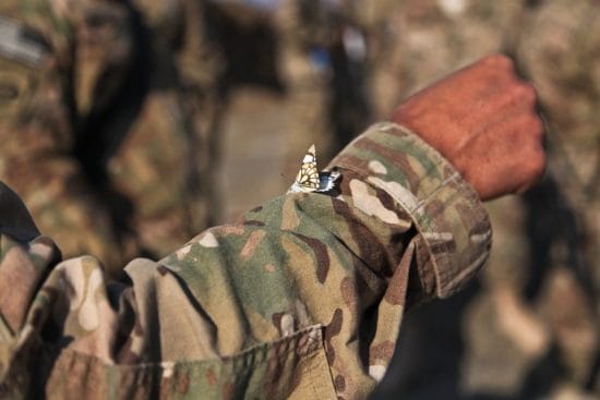Soldat (c) pixabay