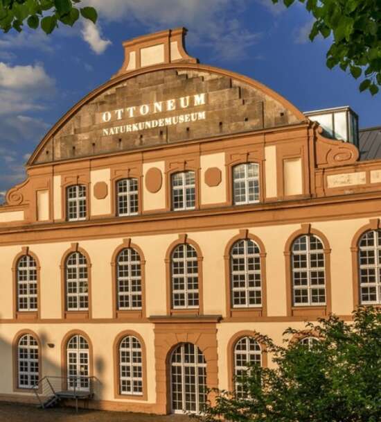 Kasseler Naturkundemuseum, Videoclips, Facebook, Kultur, Corona, Kassel, Sonderausstellung, Tierkinder, Kassel Marketing GmbH Das <strong>Kasseler Naturkundemuseum</strong> veröffentlicht informative Videoclips auf Facebook. Derzeit präsentiert das Naturkundemuseum die Sonderausstellung »<strong>Tierkinder</strong>«. | (c) Kassel Marketing GmbH