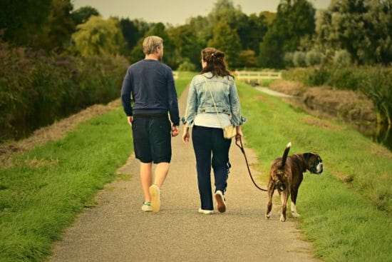 Ostern und Corona, NRW, Niedersachsen, Hessen, Ostern, Corona, Ostern und Corona: Was ist erlaubt, Osterspaziergang, Oster-Spaziergang Ostern und Corona: Was ist erlaubt in NRW, Hessen und Niedersachsen? Spazierengehen als Paar ist überall gestattet | (c) Mable Amber auf Pixabay