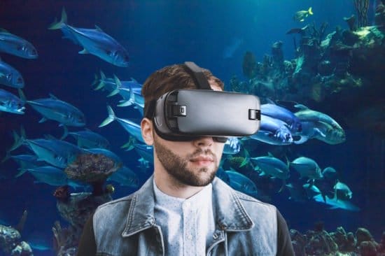 Virtual Reality, VR-Brille, Unterwasserwelt Virtual Reality: Mit der VR-Brille kann man auch die Natur erkunden und zum Beispiel eine Virtuelle Reisen durch die Unterwasserwelt genießen.