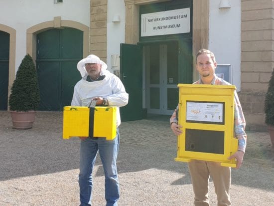 Dr. Sven Mecke (re.), Leiter des Naturkundemuseums, und Wolfgang Bruß vom Imkerverein Alme-Lippe e.V. mit den Bienen. | (c) Kevin Hellwig