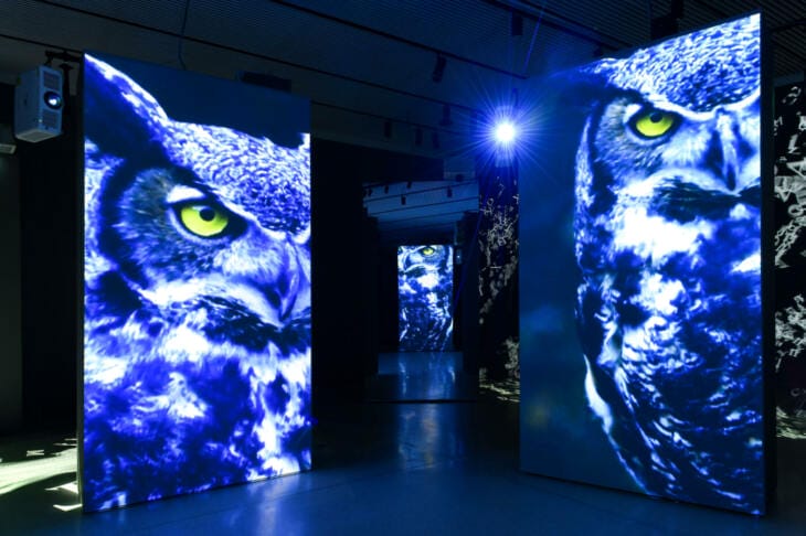 Vom 10. April bis 6. Oktober 2019 lief in der Grimmwelt Kassel die Sonderausstellung "FinsterWald" | (c) Nils Klinger