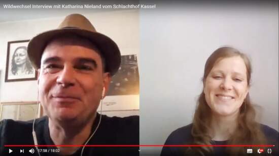 Schlachthof Kassel, Kulturzentrum, Kassel, Interview, Katharina Nieland Ww Interview mit Katharina Nieland (Schlachthof Kassel) 15.5.2020