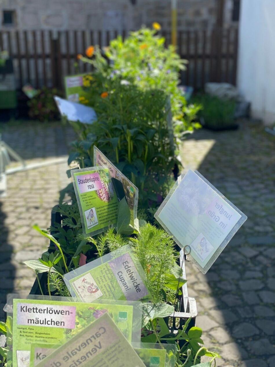 (c) Gemeinde Kaufungen, Julia Gerhold