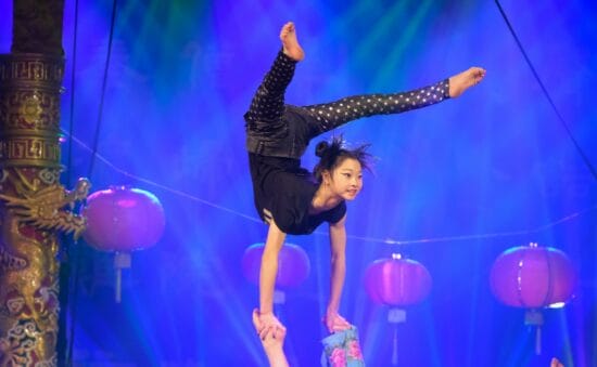 Chinesischer Nationalcircus an der Weser: Bowie-Flair in der Stadthalle Beverungen Chinesischer Nationalcircus an der Weser: Bowie-Flair in der Stadthalle Beverungen