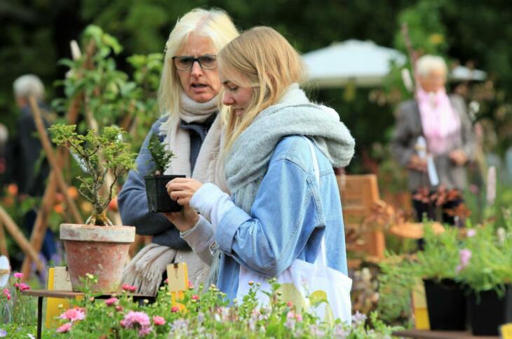 Gartenfreunde können sich beim Herbstzauber Kassel inspirieren lassen und beim Garten-Festival schöne Pflanzen für den heimischen Garten aussuchen | (c) Evergreen GmbH & Co. KG