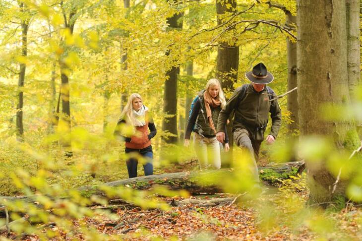 Nationalpark, Nationalpark Kellerwald-Edersee, Natur, Wandern Der Nationalpark bringt Wander:innen aus jeglichen Richtungen zusammen. Die drei Ranger wollen das mit den vier neuen Events auch schaffen. | (c) Nationalpark Kellerwald-Edersee
