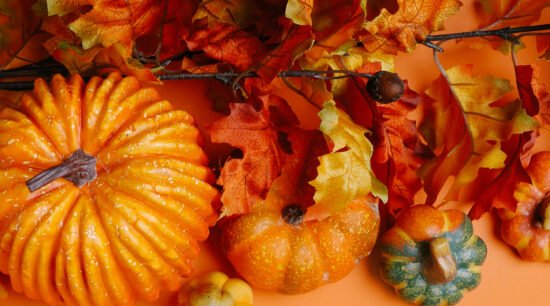 Ein Kürbis mit Blättern, passend zum Herbstevent Rotkäppchen-Woche