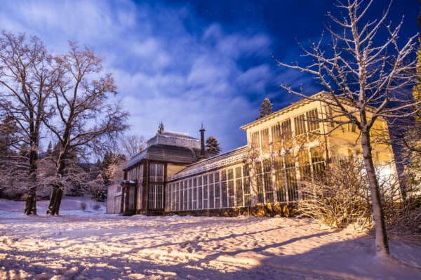 Gewächshaus: Das Große Gewächshaus befindet sich im Bergpark Wilhelmshöhe in Kassel und wurde in den Jahren 1822/23 vom Hofarchitekten Johann Conrad Bromeis unter Kurfürst Wilhelm II. zur Kultivierung kostbarer exotischer Pflanzen errichtet. Der ursprüngliche kuppelartige Mittelbau wurde später durch ein massiveres Palmenhaus ersetzt. Die filigrane Eisen-Glas-Konstruktion nahm eine Vorreiterstellung in Deutschland ein. Im Großen Gewächshaus werden teilweise historische Pflanzen aufbewahrt. Es wird von der Museumslandschaft Hessen Kassel verwaltet.