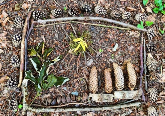 Kellerwald, Waldbaden, Jessica Schmitz, Spazierengehen, Natur, Wandern Jessica Schmitz: Warum Waldbaden viel mehr als Spazierengehen ist.