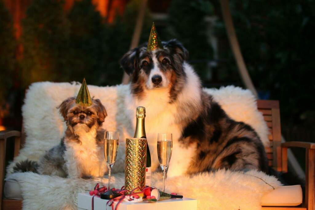 Statt Silvester Zu Hause: Unsere Tipps für die besten Silvesterpartys in der Region! | (c) Markito pixabay