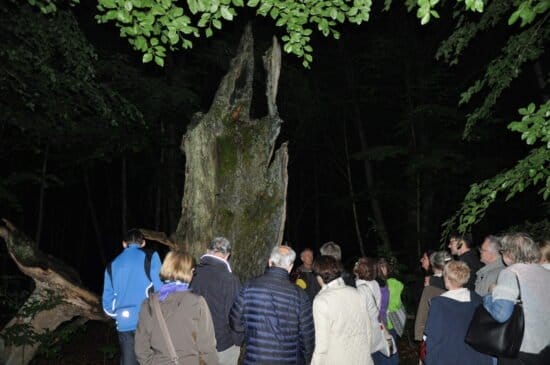 Daheim Tour, Hexe, Geister, Henkersknechte, Kassel Daheim Tour - Hexe, Geister und Henkersknechte - Kassel