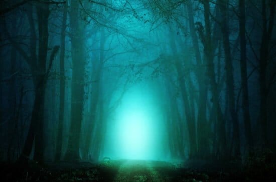 Wald - unheimlich (c) Pixabay - DarkmoonArt_de