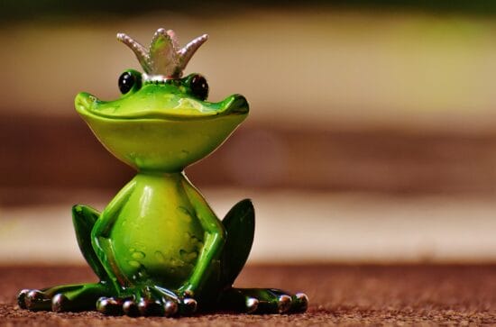 Der Froschkönig, Brüder Grimm, Simsala Dimm, Märchen, Pixabay, Märchen online anschauen Der Froschkönig ist eines zahlreicher <strong>Märchen</strong> der <a href="https://de.wikipedia.org/wiki/Br%C3%BCder_Grimm">Brüder Grimm</a>. Vielleicht wird dieses auch von Simsala Dimm und einer ihrer Gäste vorgelesen? Jeden Mittwoch um 18 Uhr kannst Du ein neues Märchen schauen. | (c) Pixabay
