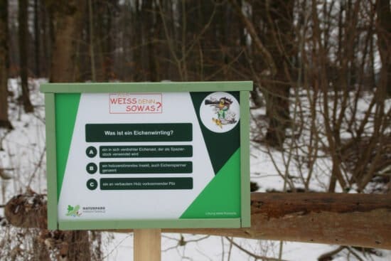 Quiz-Wanderung, Naturpark Habichtswald, Hoher Habichtswald, Rundweg, Wanderparkplatz Ziegenkopf, Ausflugsziel, Rätsel Naturpark Habichtswald Fragetafel