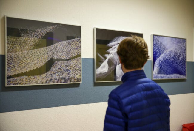 Welche Besonderheiten haben unterschiedliche Oberflächen? Das kannst Du jetzt in der Ausstellung von Sylvia und Jochen Heinis erfahren. | (c) Freya Altmüller