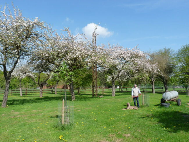 Josef Wittkopp auf seiner öffentlich zugänglichen Streuobstwiese | (c) "Foto von Wittkopp"(sic)