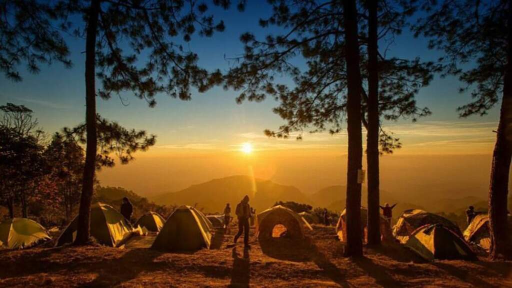 Zelte im Wald bei Sonnenaufgang mit Bergpanorama Festival-Checkliste: Zelten gehört zum richtigen Festival-Feeling dazu, oder? | (c) chanwit whanset auf pixabay