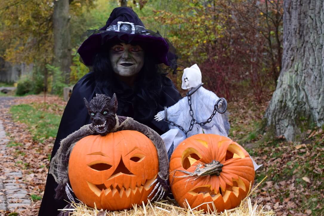 Beim Halloween-Wochenende im Tierpark Sababurg sorgen Hexen, geschnitzte Kürbisse und Geisterfiguren für schaurig-schöne Erlebnisse. | (c) Tierpark Sababurg