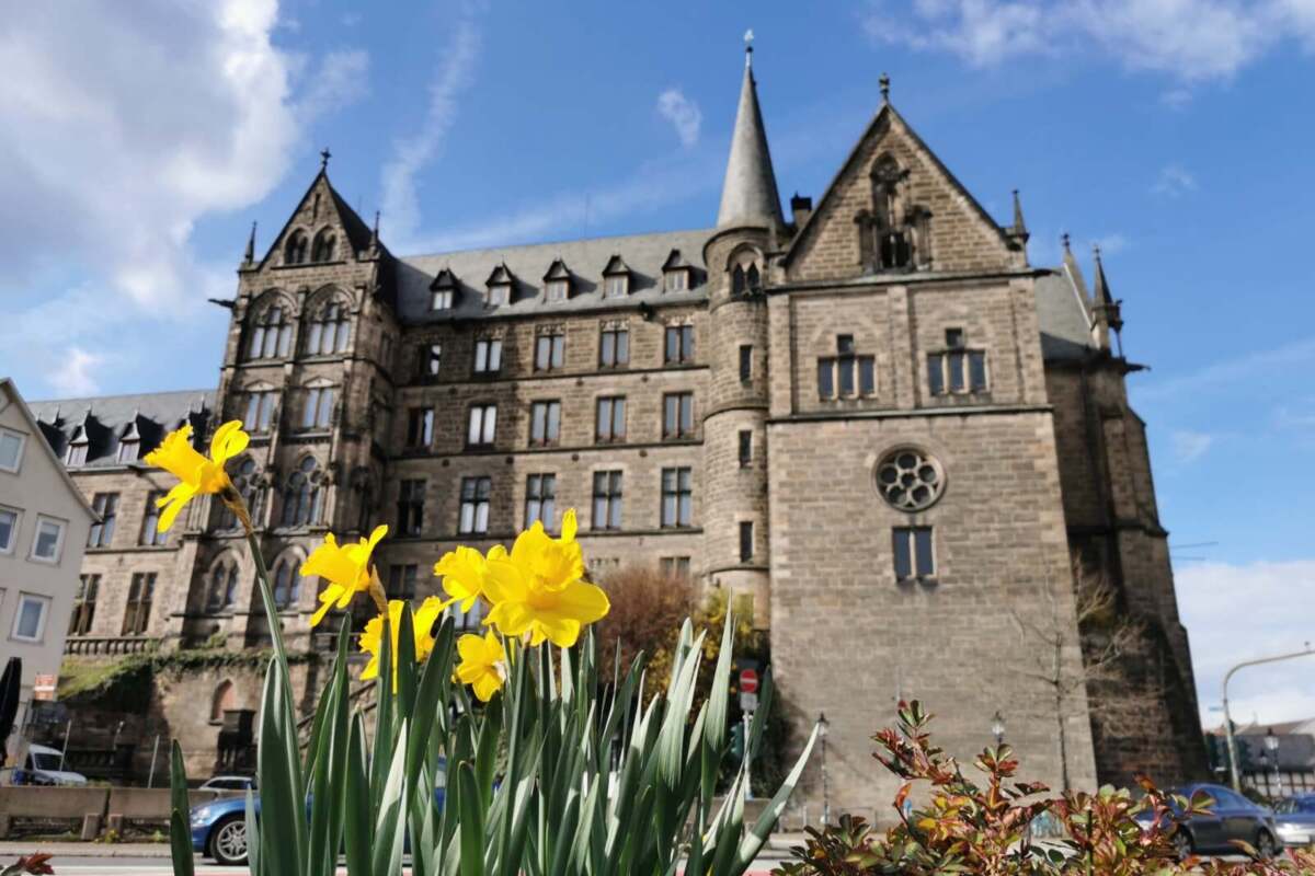 Historisches Gebäude in Marburg mit Osterglocken im Vordergrund Es wird bunt in Marburg: Marburg blüht auf – Marburger Frühling 2025! Im April feiert Marburg für ein Wochenende den Frühling! Viele Aktionen, buntes Markttreiben und zahlreiche Künstler laden sie ein die Stadt an diesem Festwochenende zu erleben | (c) Stadtmarketing Marburg
