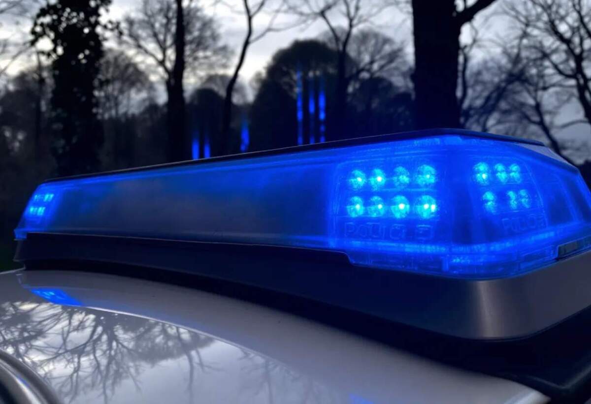 Polizei - 04 | (c) Wildwechsel - Ki generiert