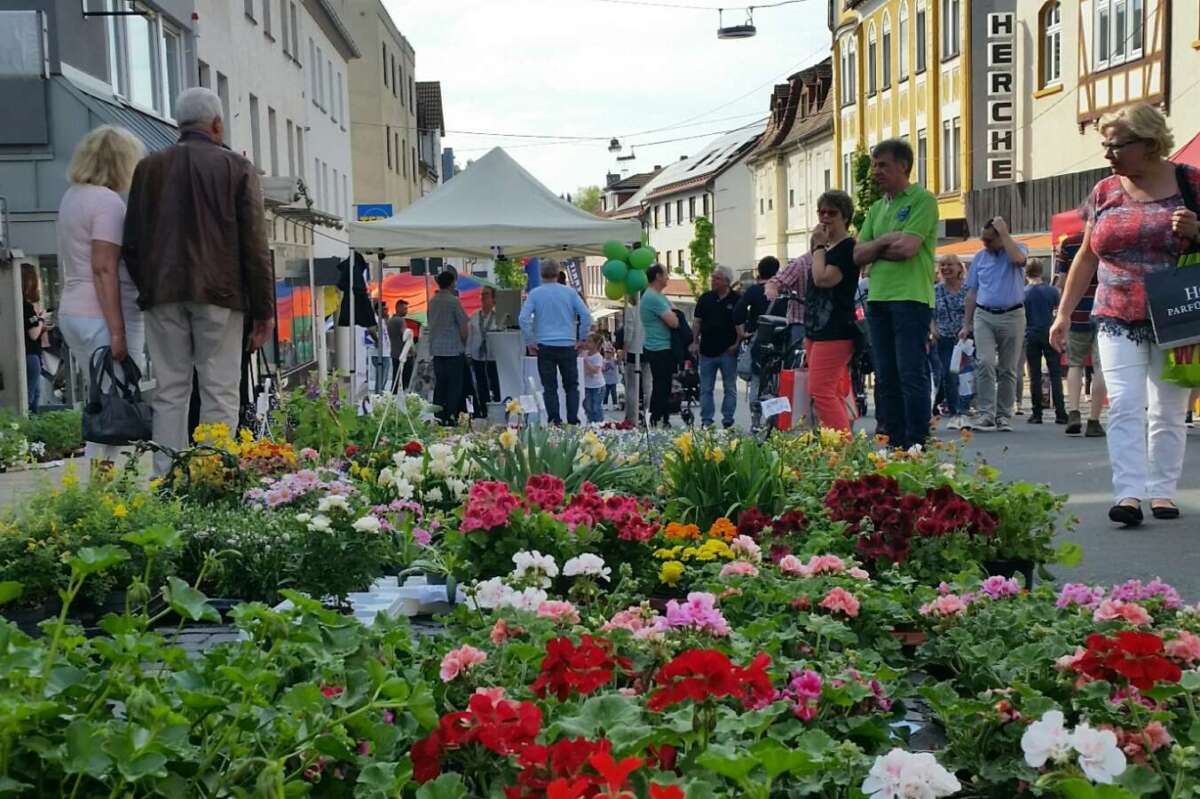 Bunte Blumenpracht und volle Straßen: Das Frühlingsfest in Schwalmstadt-Treysa lockt auch 2025 zahlreiche Besucher in die Innenstadt – ein farbenfrohes Event-Highlight für die ganze Familie | Archivfoto | (c) Stadt Schwalmstadt