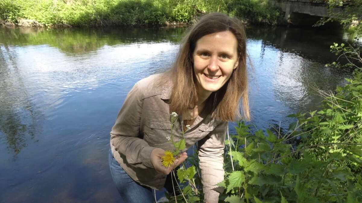 Kräuterfrau Anke Dobel sammelt fröhlich Pflanzen, während hinter ihr ein Bach ruhig dahinfließt und die Sonne die Szene in warmes Licht taucht. Kräuterfrau Anke Dobel in ihrem Element, beim Kräuterspaziergang mit Pflanzen in der Hand und einem Lächeln im Gesicht | (c) Tourismusgesellschaft Melsunger Land mbH