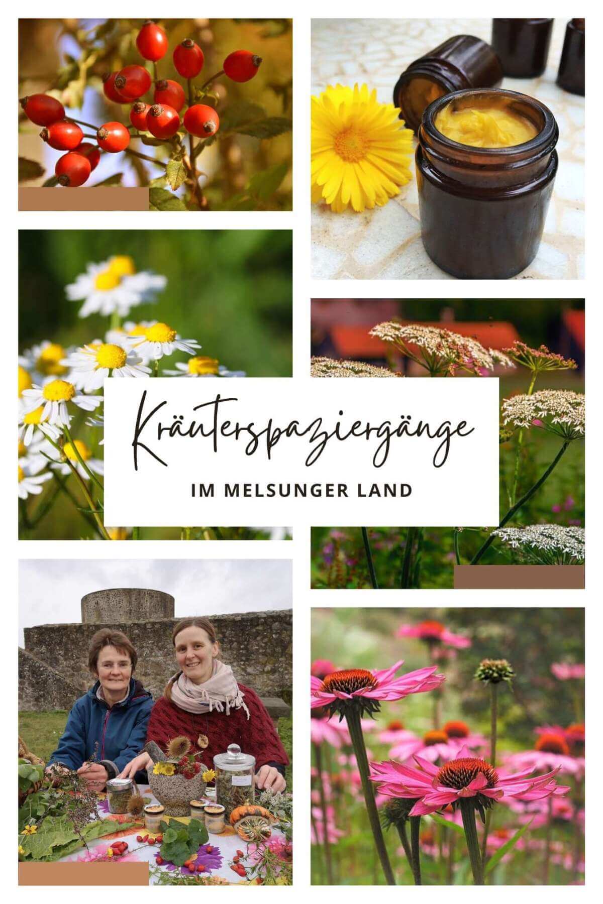 Die Postkarte der Kräuterspaziergänge zeigt stimmungsvolle Eindrücke: bunte Blumen, reife Beeren und aus Pflanzen hergestellte Salben Die Postkarte der Kräuterspaziergänge fängt ein, was unterwegs, mit Kräuterfrau Anke Dobel, gesammelt werden kann: blühende Blumen, bunte Beeren und Zutaten für Salben | (c) Tourismusgesellschaft Melsunger Land mbH