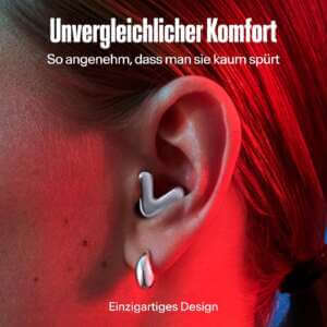 Alpine Tune Ohrstöpsel - (c) Alpine