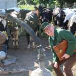 Udo Reineke in grüner Landwirts-Kluft mit Aktentasche vor einer Kuhherde | (c) Udo Reineke