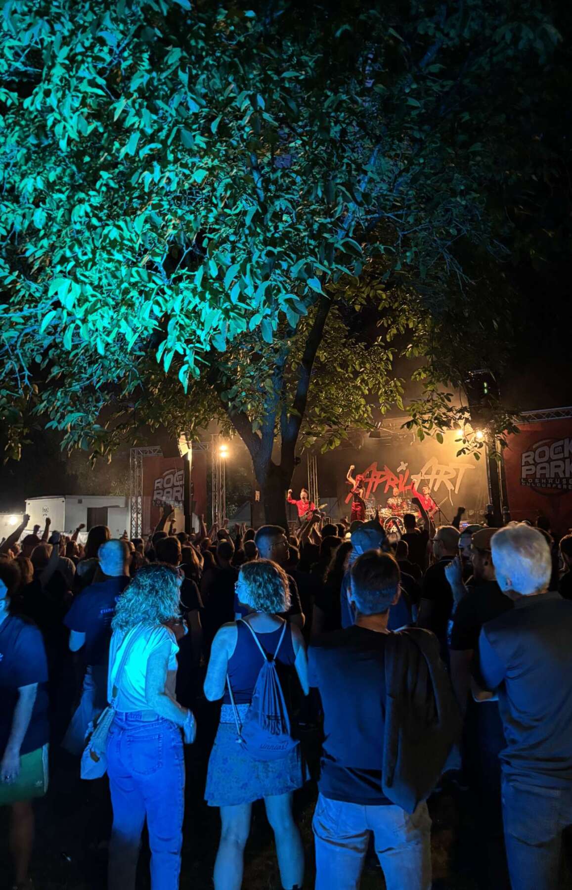 Rock im Park 2026 Loshausen - IMG_2468 - (c) Marco Miltz