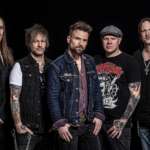 The New Roses
