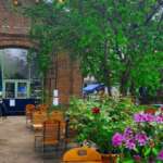 Rotkehlchen an der Waggonhalle Marburg – Aufnahme von Marion Breu